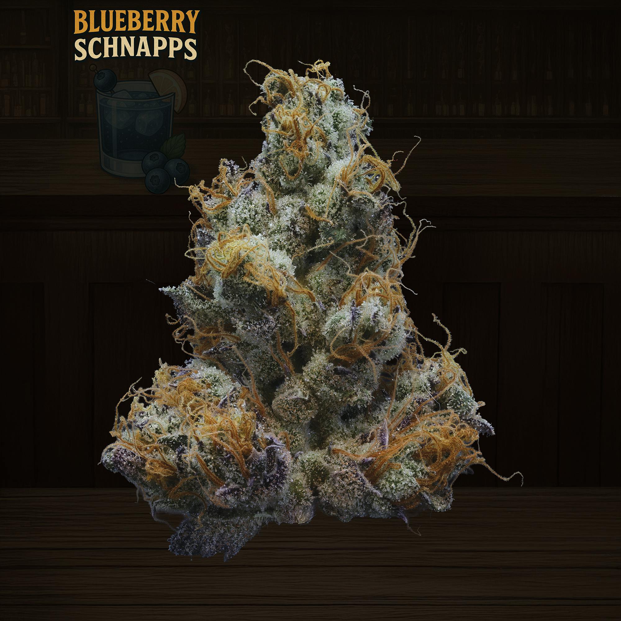 Blueberry Schnapps
