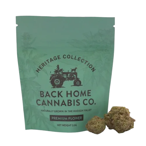 Back Home Cannabis | Flower | 3.5g | Jack Herer