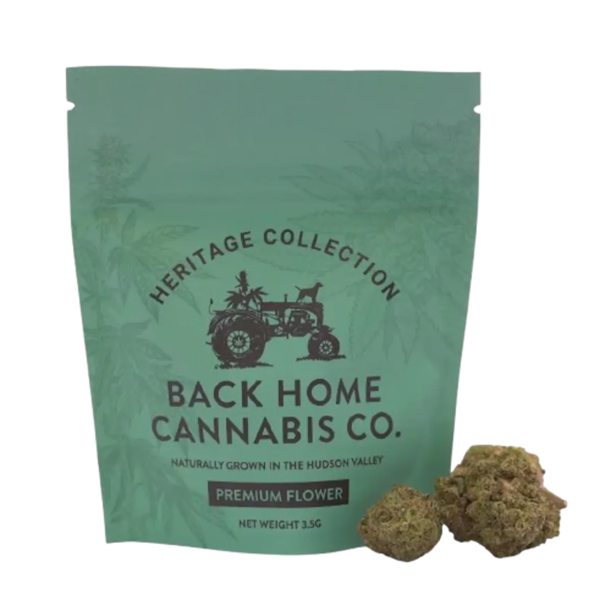 Back Home Cannabis | Flower | 3.5g | Jack Herer