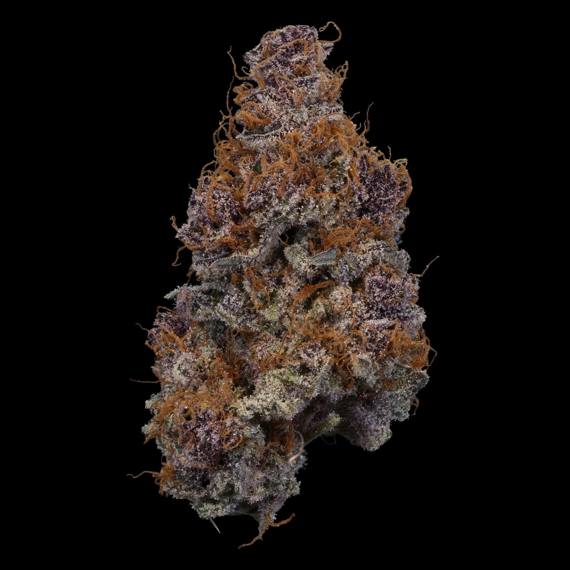 Tropicana Cherry