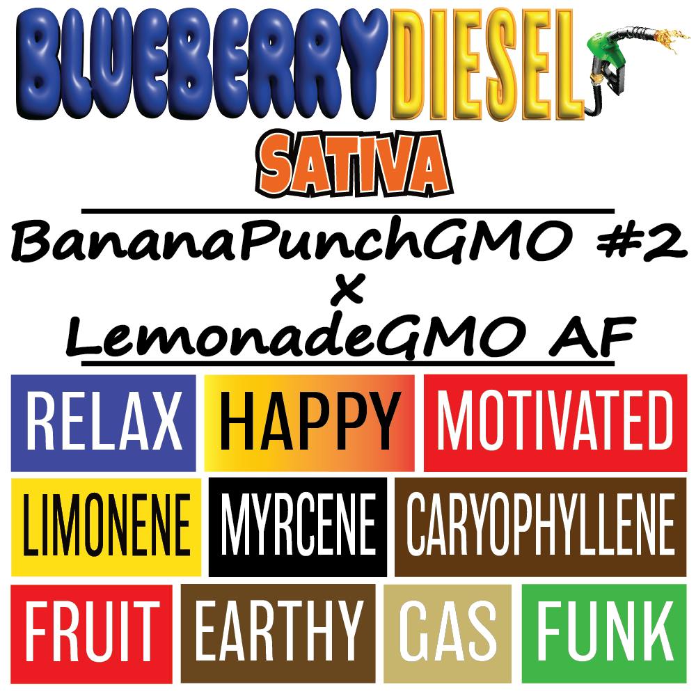 Blueberry Diesel 3.5g - Small Batch - 1/8oz in Lewiston