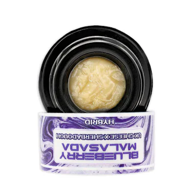 Umamii | PRIVATE RESERVE Live Rosin | 1g | Blueberry Malasada