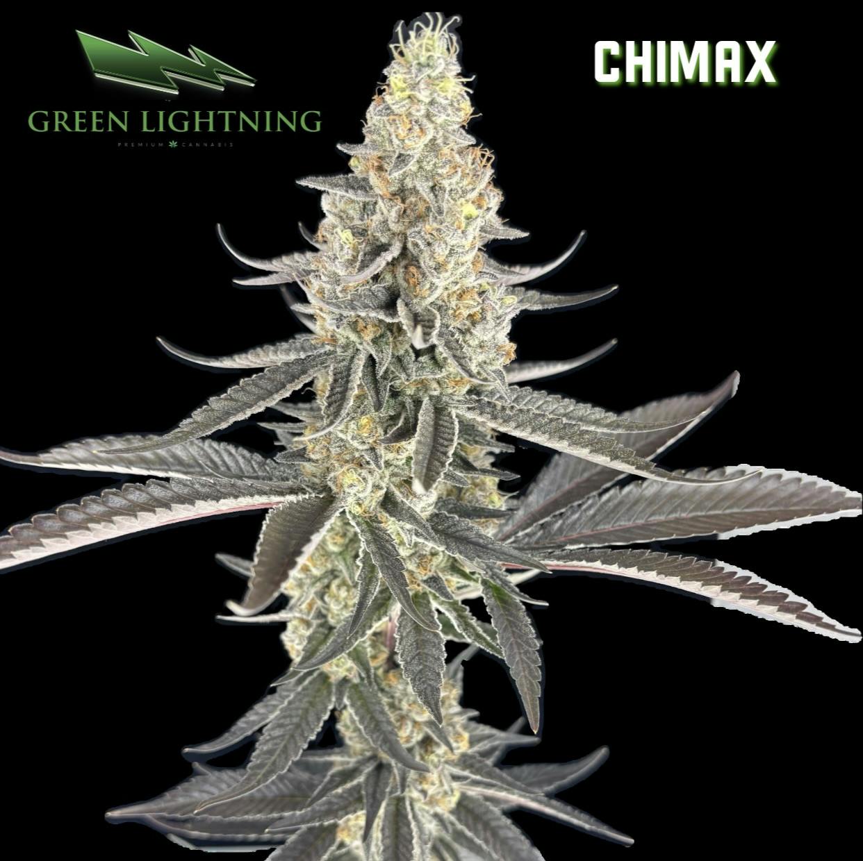 Chimax | 3.5G Flower (No Discounts/Points Apply) - 3.5g in Matawan