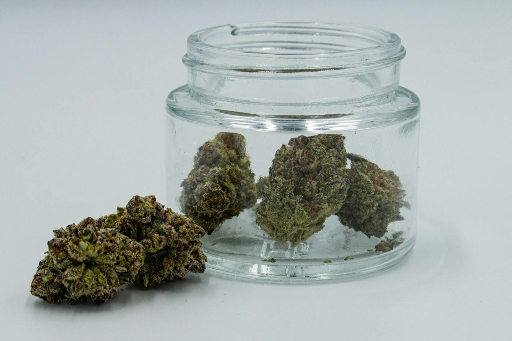 Pepperlane | Flower 1g - Gary Poppins (H)