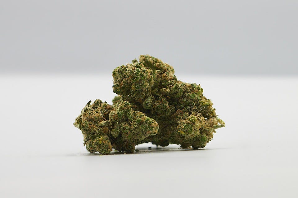 Diplomat Private Reserve | Flower 1g - Modified Grapes (S)