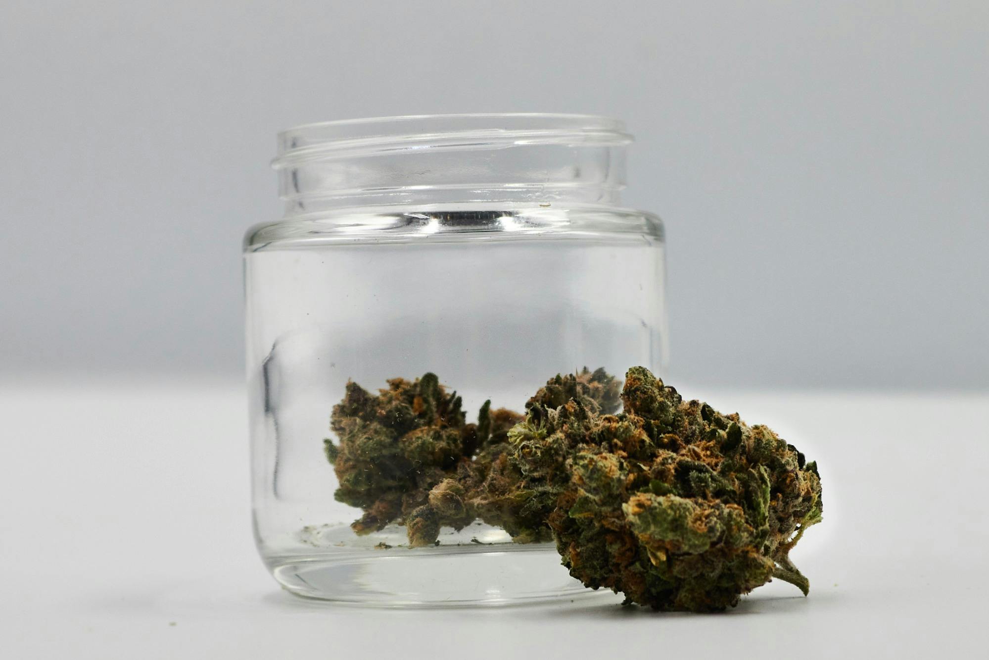 Diplomat | Flower 1g - Candyman (S)