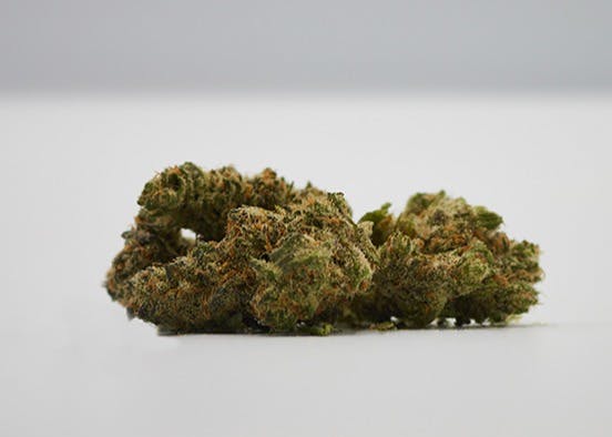 Pepperlane | Flower 1g - Blueberry French Toast (H)