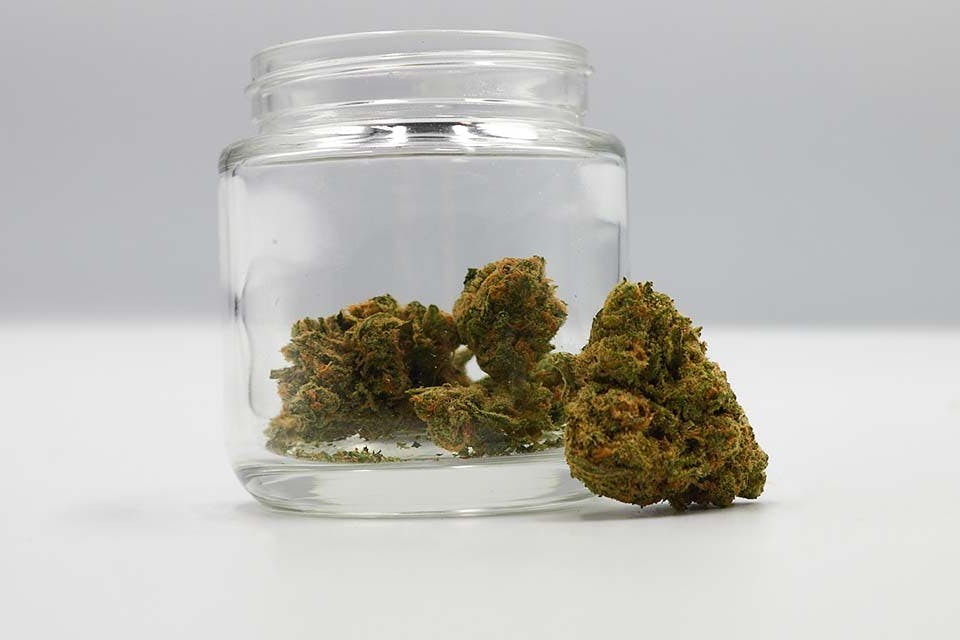 Diplomat | Flower 3.5g - Blue Dream (S)