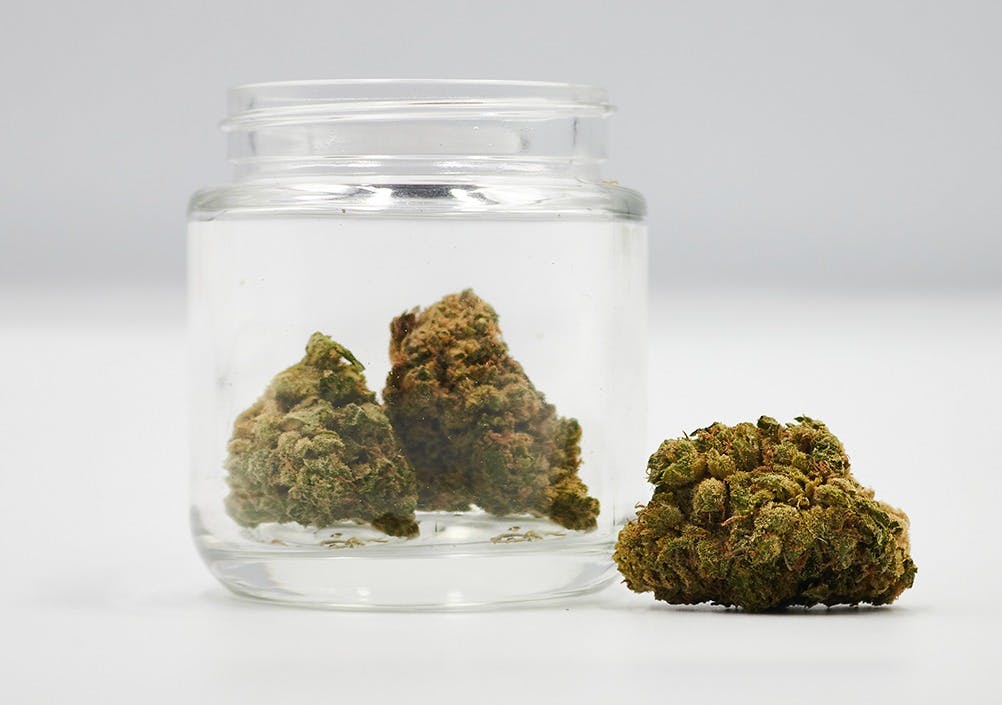 Diplomat | Flower 3.5g - Dirty Bird (H)
