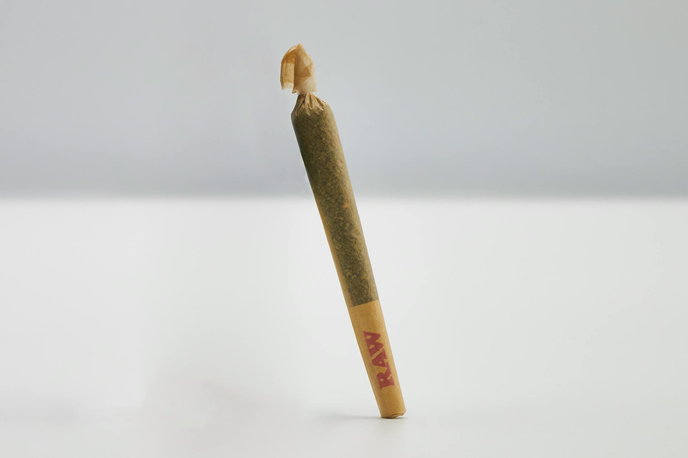 Diplomat Private Reserve | Preroll 1g - Milano Cookiez (H)