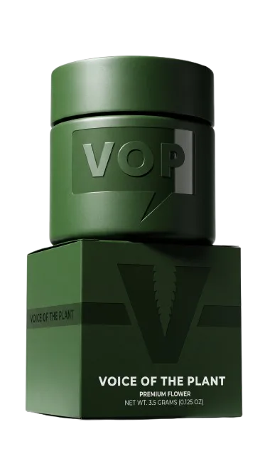 VOP | Flower | 3.5g | Gelato 41
