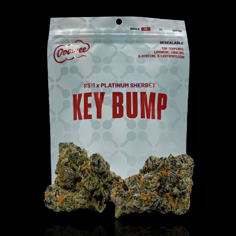 TTL - Key Bump /
