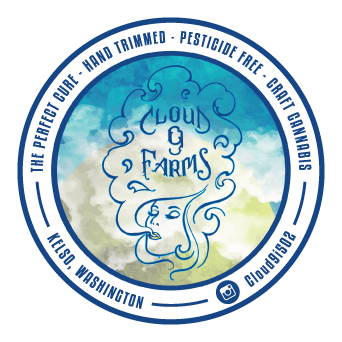 C9F- Mega Mind /