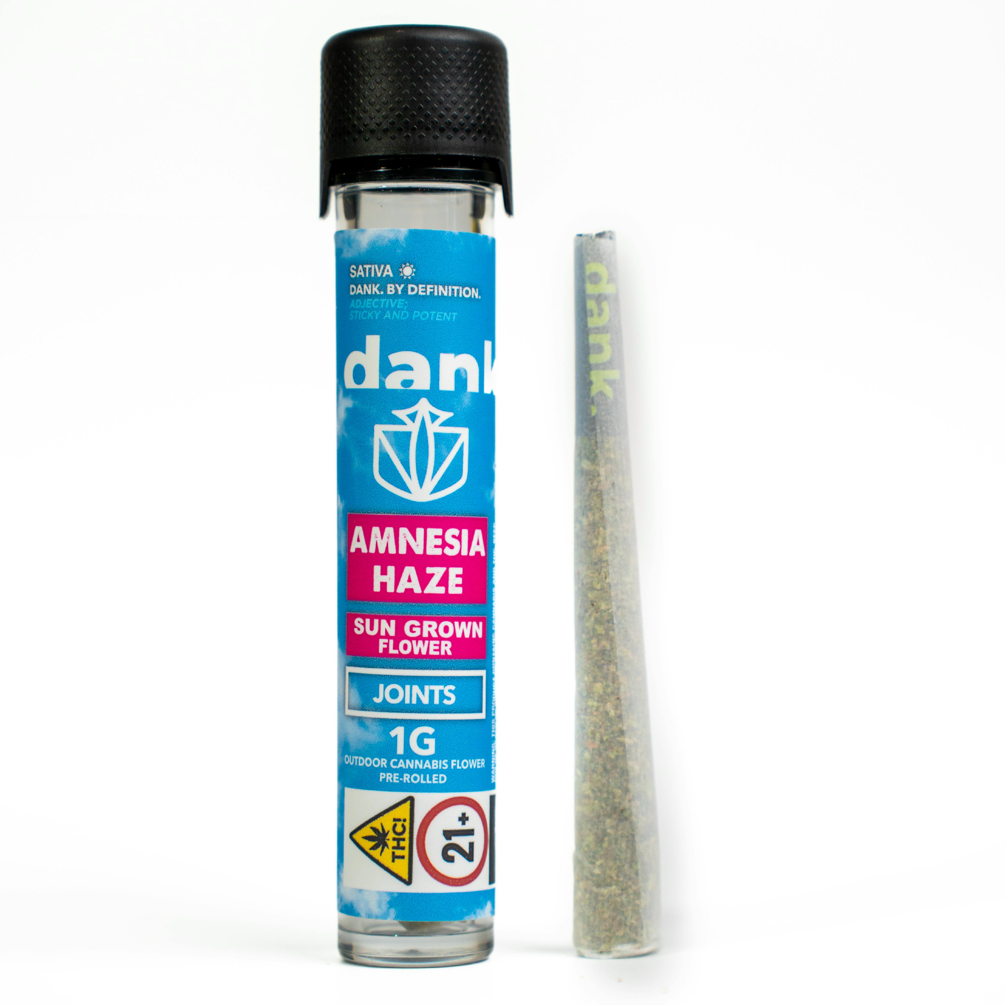 Single · 1g · Amnesia Haze