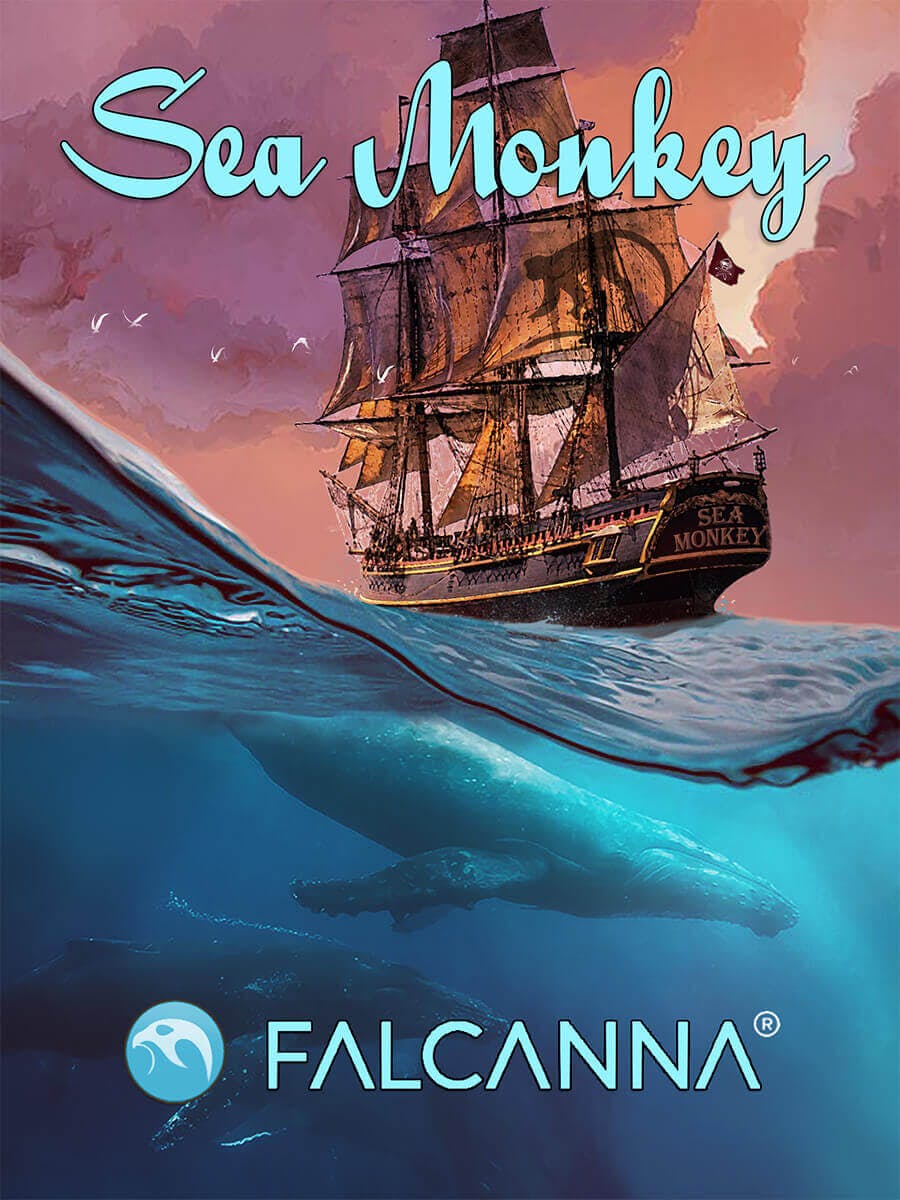 OH - Sea Monkey