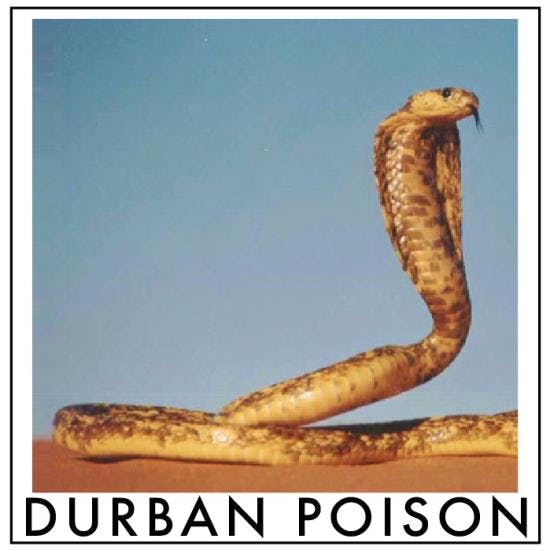 RP - Durban Poison