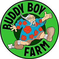 BB - Dulce De Uva / (Buddy Boy-Select) Rosin