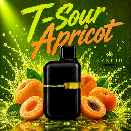 TH - Tsour Apricot / Dis Pen