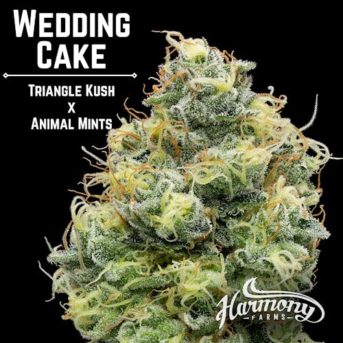 HF - Wedding Cake
