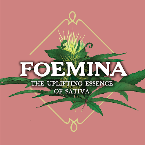 HC - Acapulco Gold / Infused Joint  (Foemina)