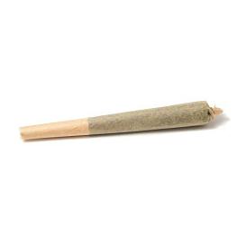 Gmo x Zkittlez