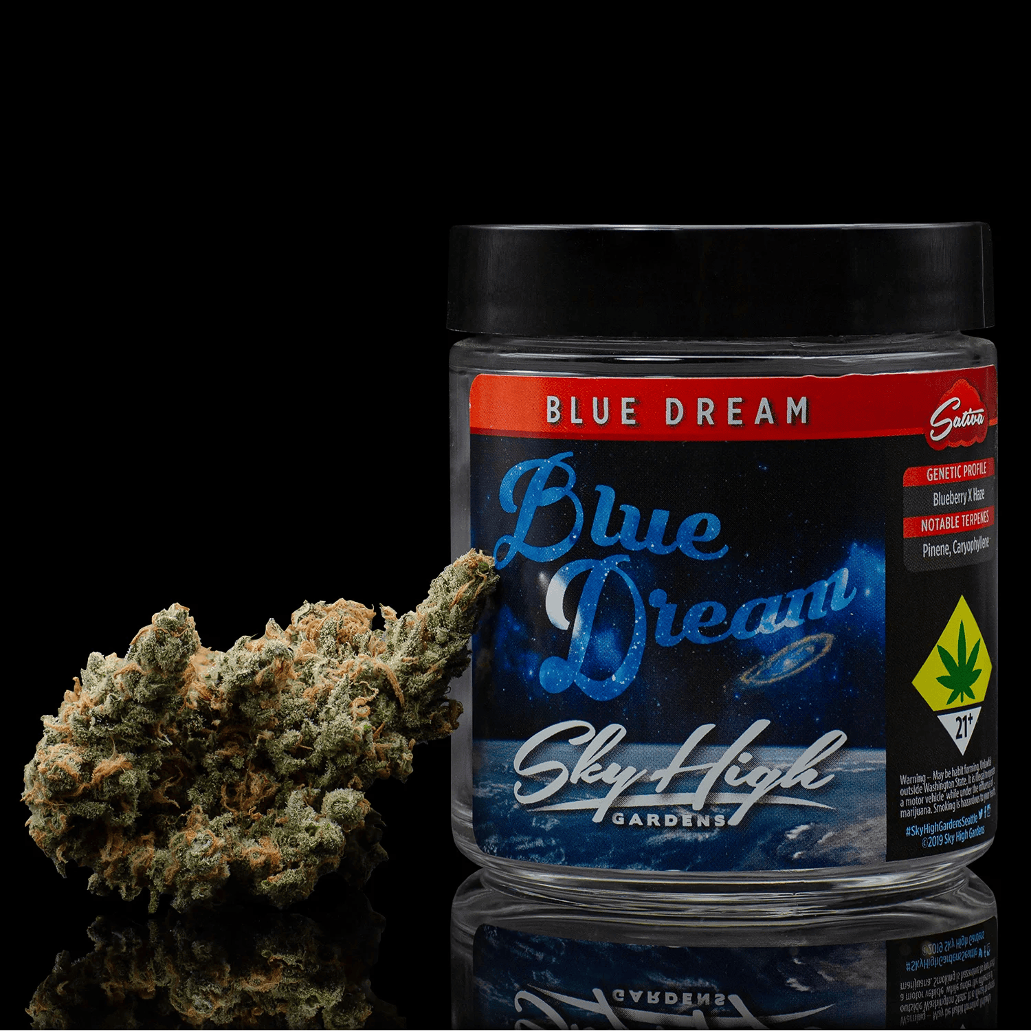 SH - Blue Dream /