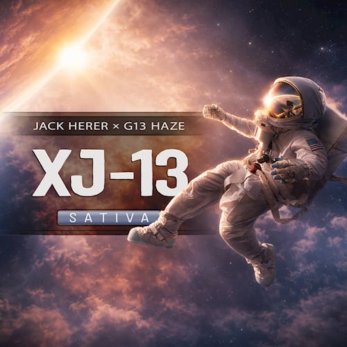 HF - XJ-13 (RAW) / Cart