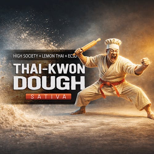HF - Thai-Kwon Dough - (S)
