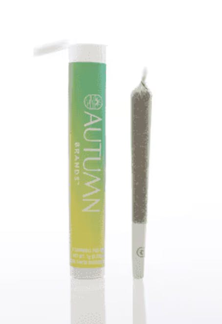 Autumn Brands: Sour Mango