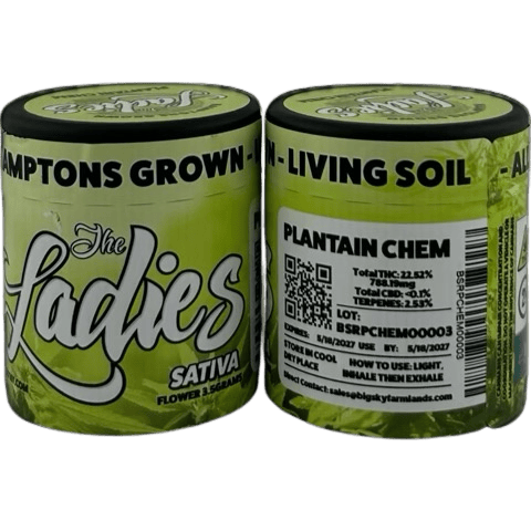Plantain Chem