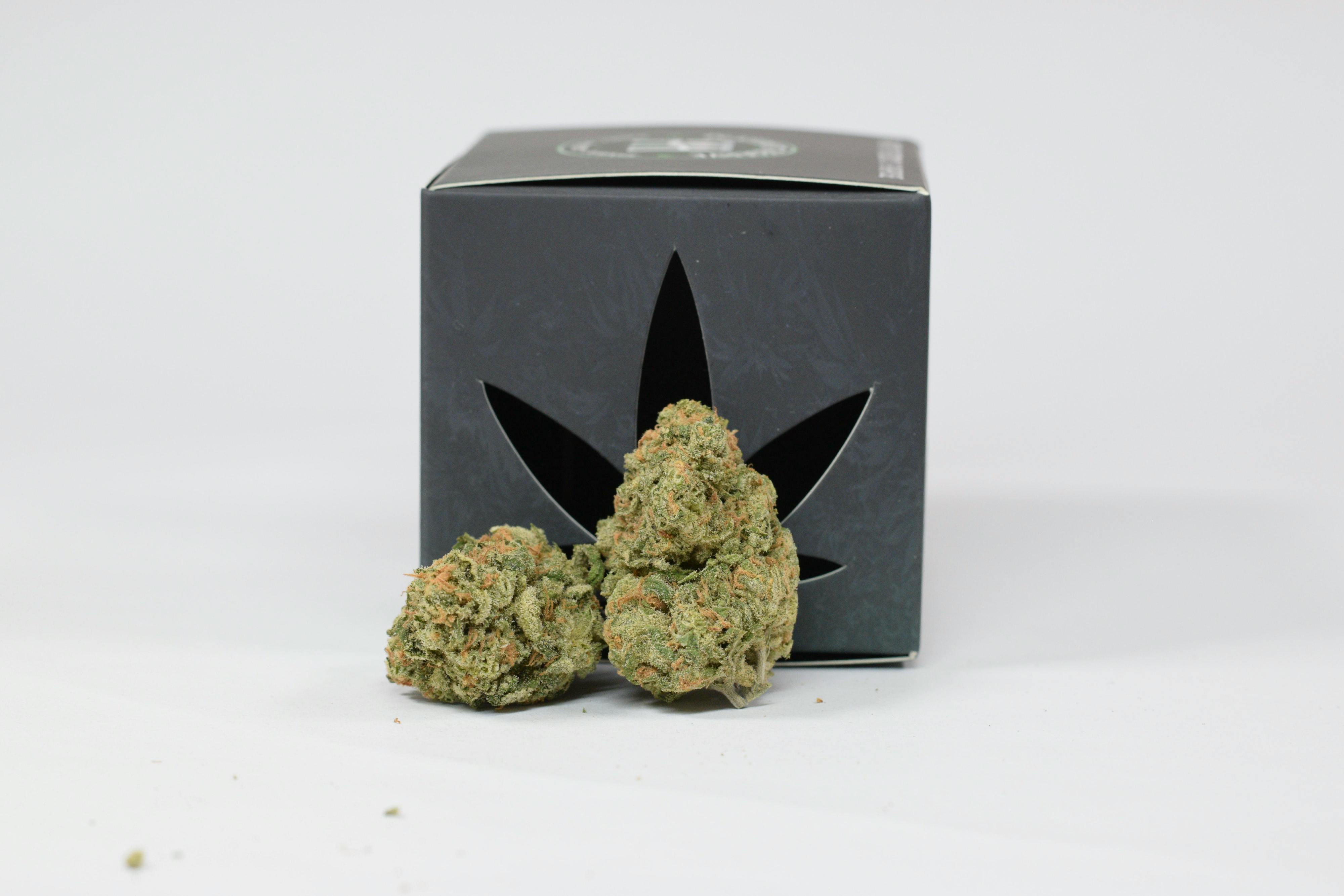 Northern Lights