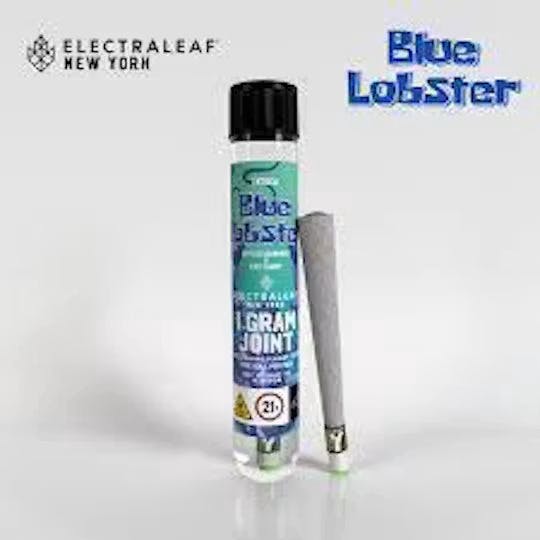 Single · 1g · Blue Lobster by Electraleaf