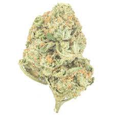 Gerry Peyton | The Grow MI - 3.5g - 1/8oz in Republic