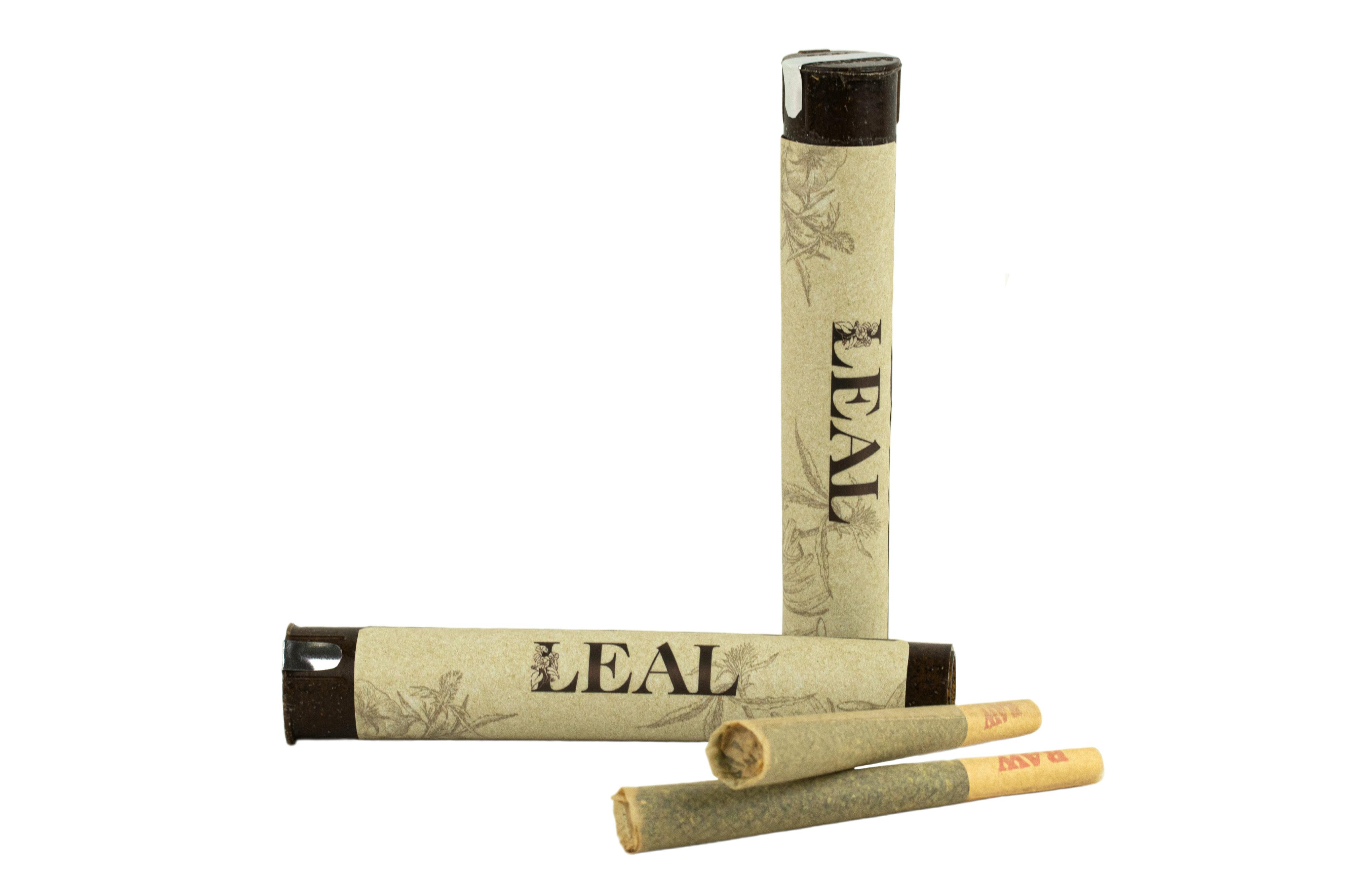 Super Boof