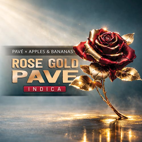 HF - Rose Gold Pave - (I)
