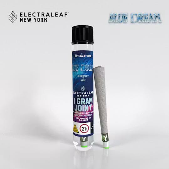 Blue Dream