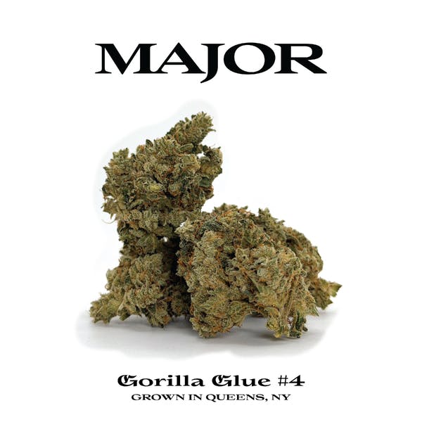 Gorilla Glue #4