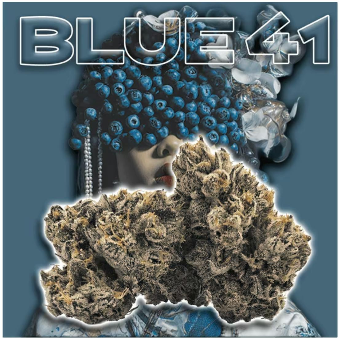 Green Dragon: Blue 41