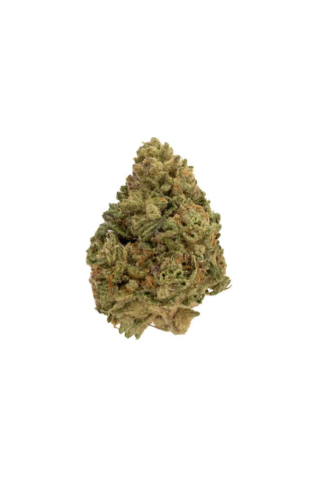 Rolling Green | Flower | 28g | Jelly Cake