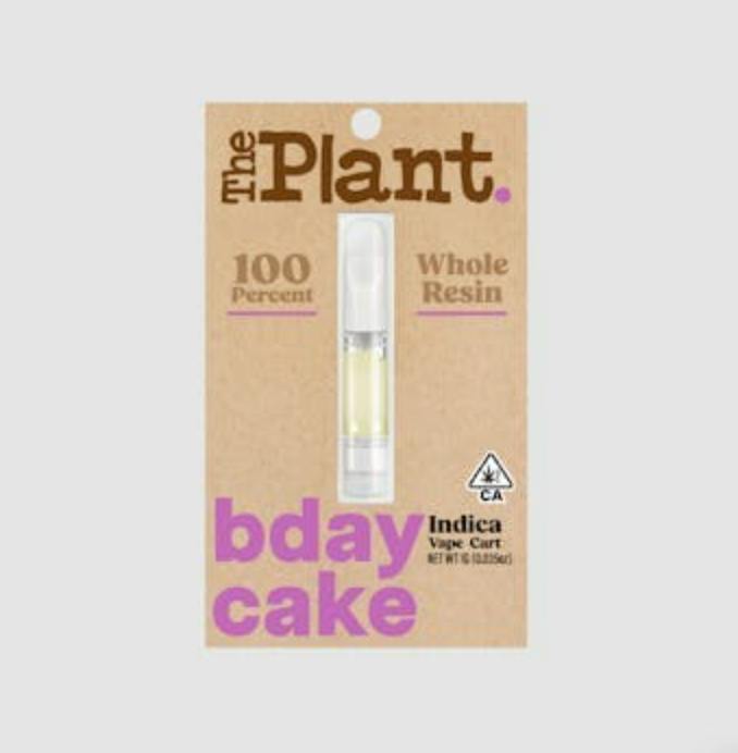 The Plant: Bday Cake