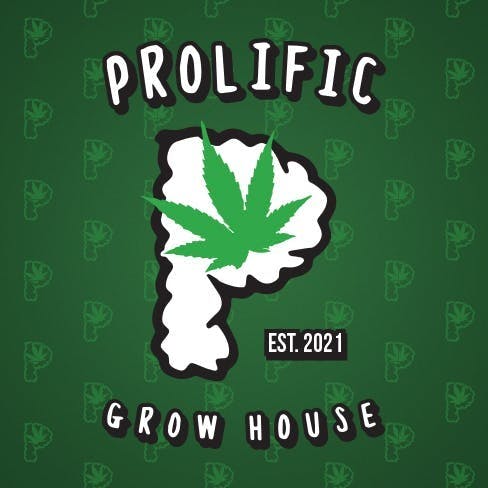 Grow House Lemon Meringue Pie
