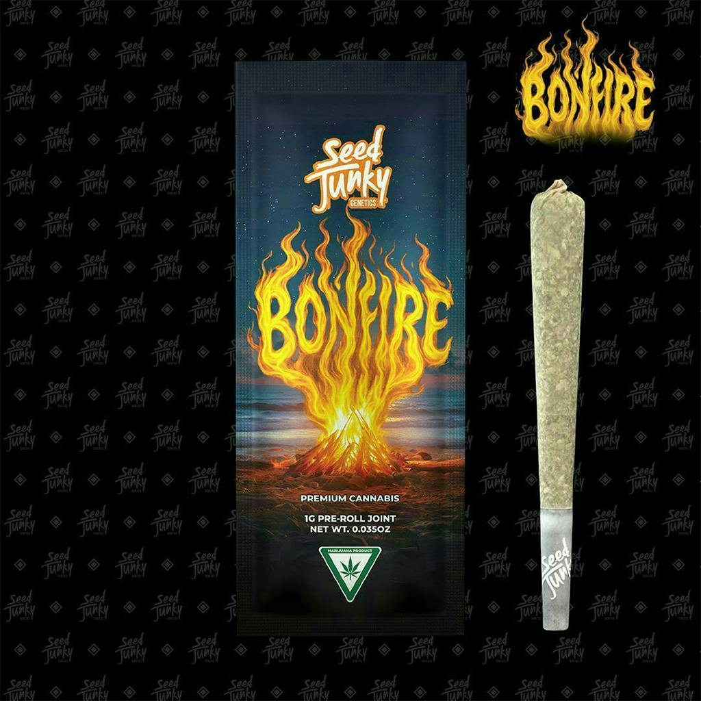 Bonfire