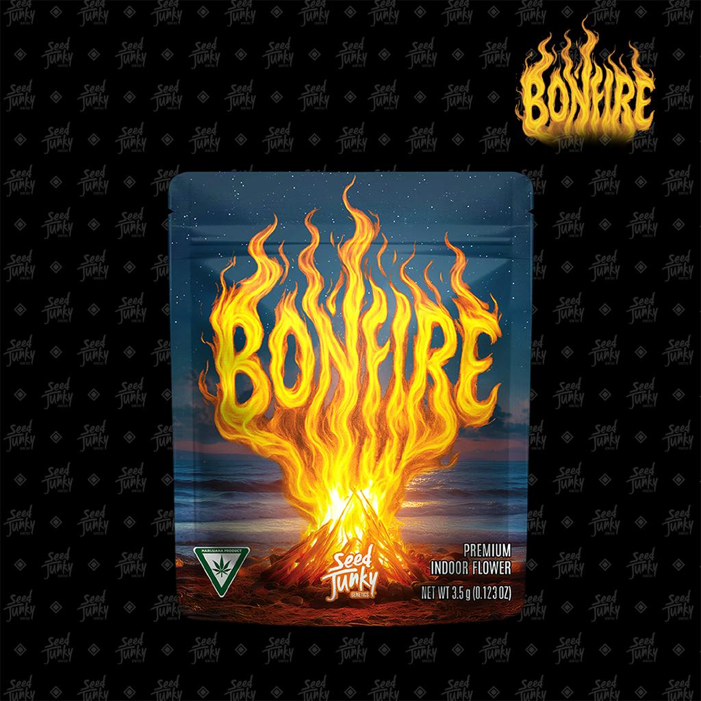 Bonfire