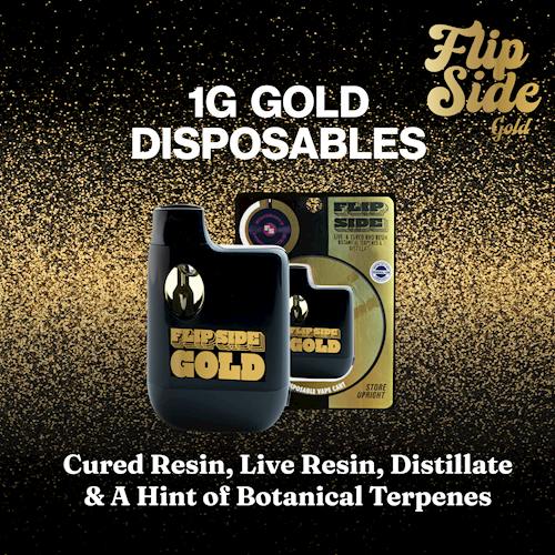Gold Tangie Banana Blended