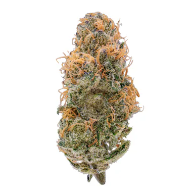 Umamii | Flower | 3.5g | Blueberry Malasada
