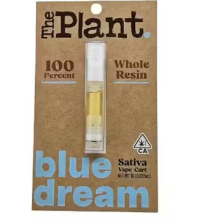 The Plant: Blue Dream