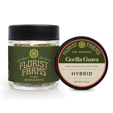 Florist Farms | Flower | 7g | Gorilla Guava