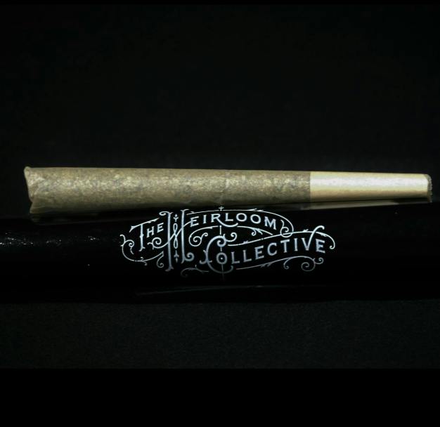 1788959125236 Product Images C335fe9e 1abc 4928 9be6 B09129e75761 Ac2e99d8 Af83 46ba 8216 49b3963f7783 Original