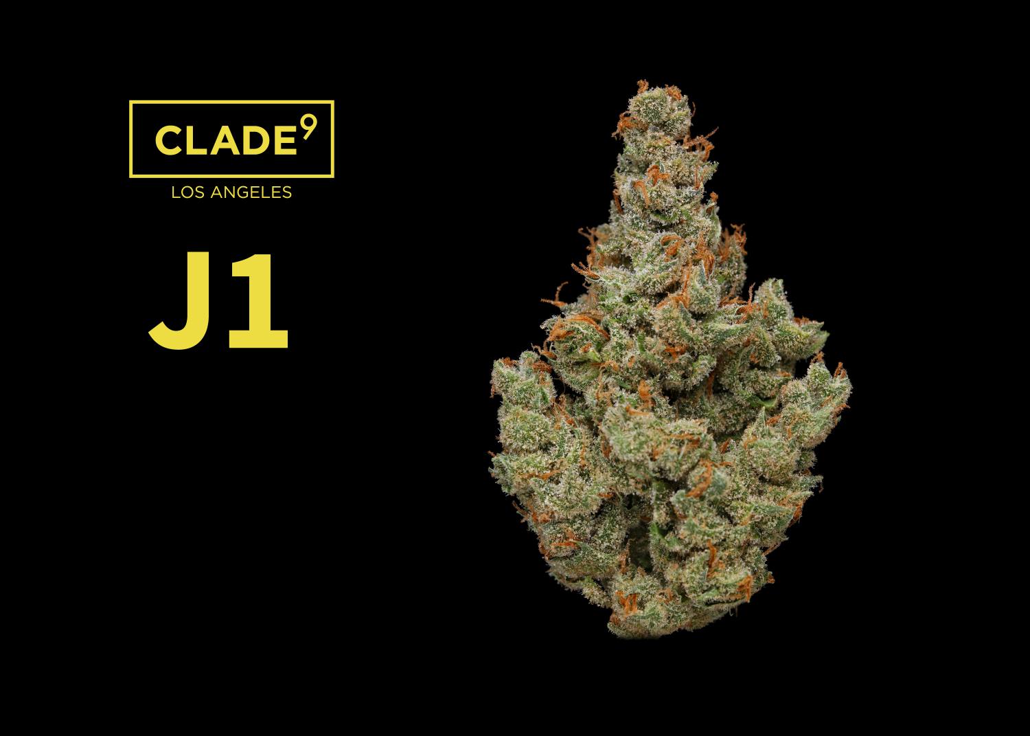 J1