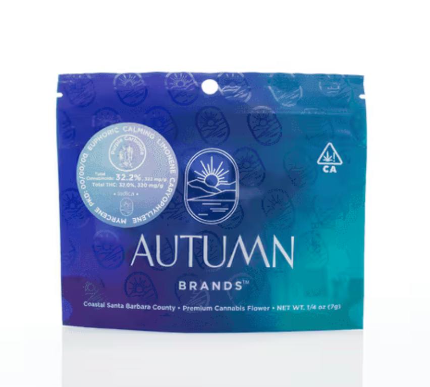 Autumn Brands: Purple Carbonite